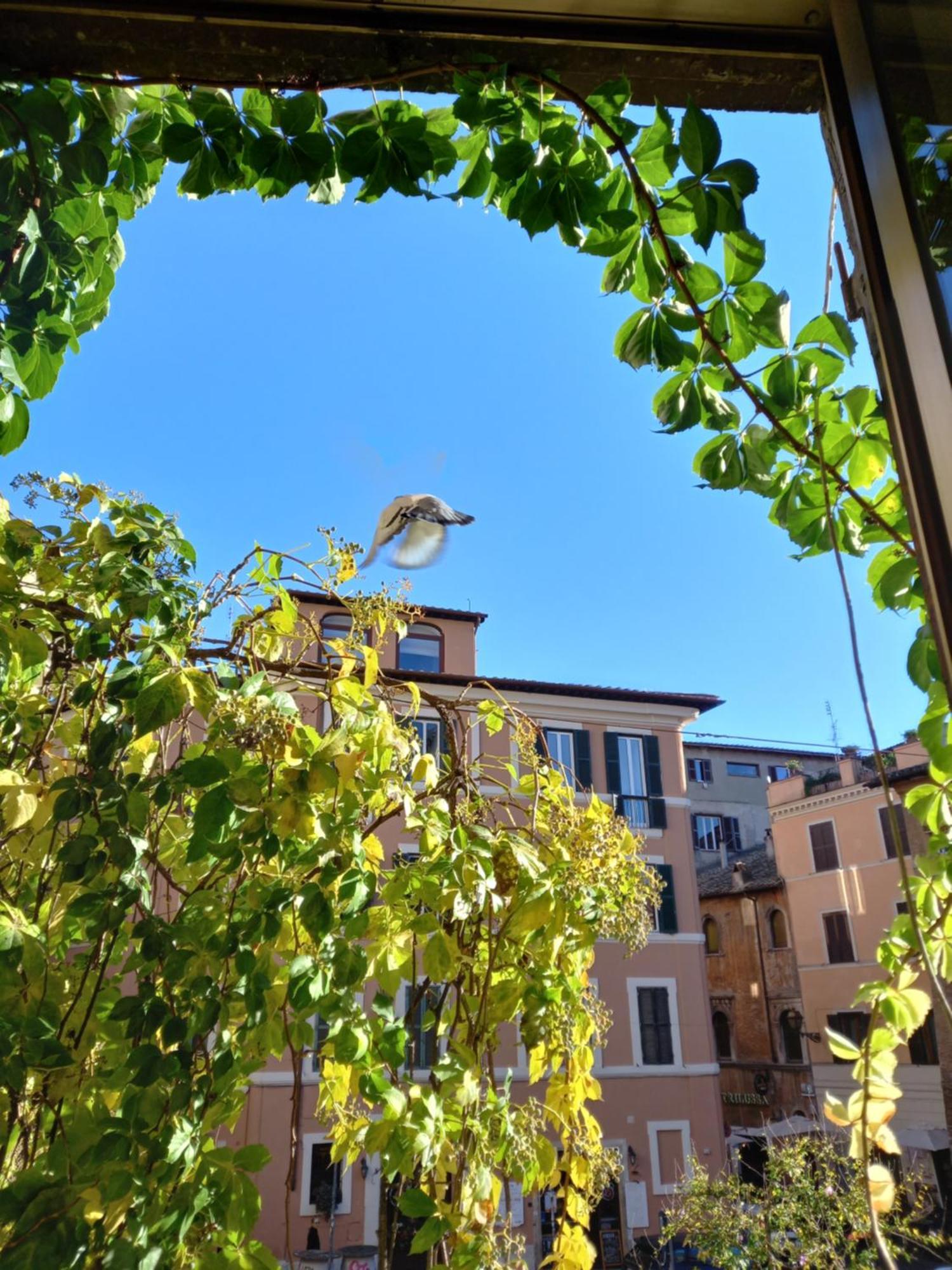 In Trastevere Apartamento Roma
